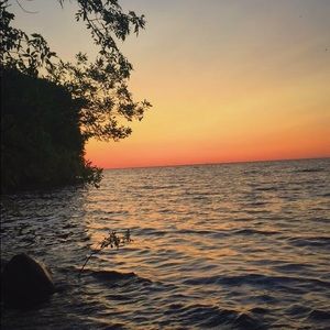 Meet your Posher, Izzy